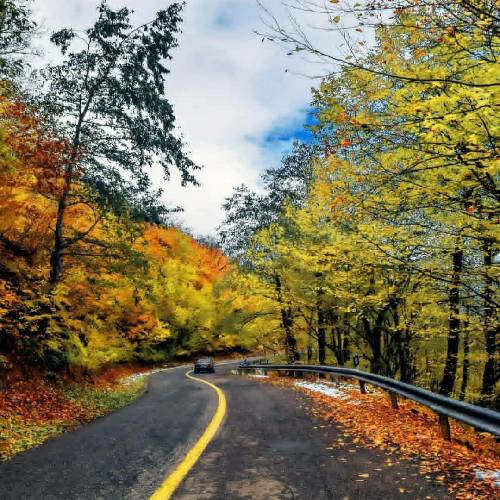 عباس حداد تو‌ جای اون که به جام آوردی تب هم نمیکرد براش میمردی